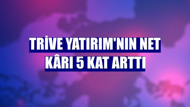 Trive Yatırım'nın net kârı 5 kat arttı