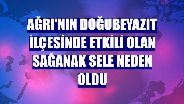 Ağrı'nın Doğubeyazıt ilçesinde etkili olan sağanak sele neden oldu