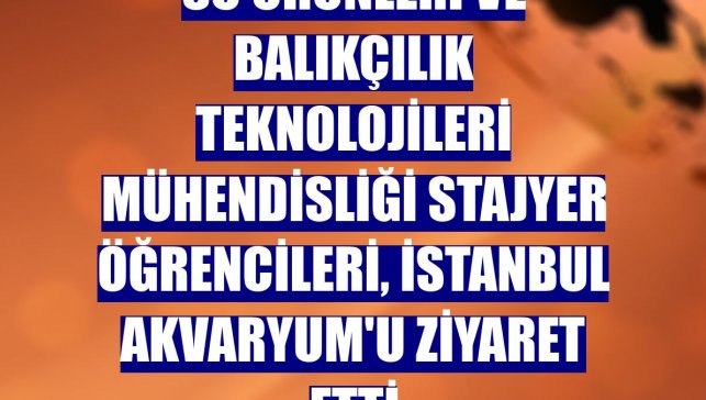 Su Ürünleri ve Balıkçılık Teknolojileri Mühendisliği stajyer öğrencileri, İstanbul Akvaryum'u ziyaret etti