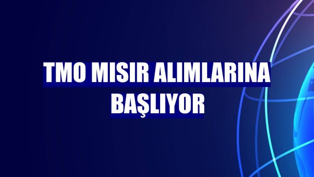 TMO mısır alımlarına başlıyor