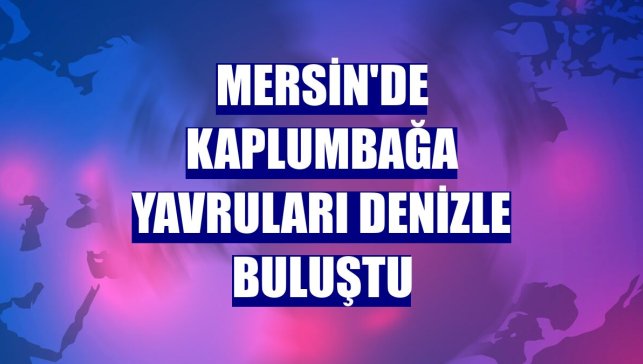 Mersin'de kaplumbağa yavruları denizle buluştu