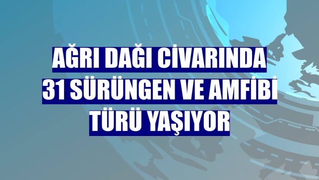 Ağrı Dağı civarında 31 sürüngen ve amfibi türü yaşıyor