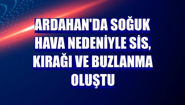 Ardahan'da soğuk hava nedeniyle sis, kırağı ve buzlanma oluştu