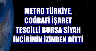 Metro Türkiye, coğrafi işaret tescilli Bursa siyah incirinin izinden gitti