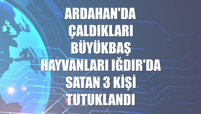 Ardahan'da çaldıkları büyükbaş hayvanları Iğdır'da satan 3 kişi tutuklandı