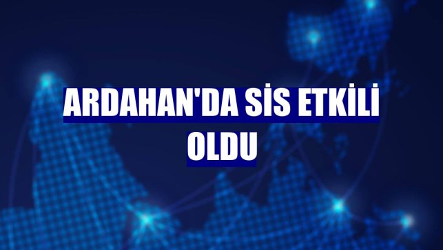 Ardahan'da sis etkili oldu