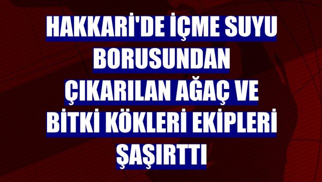 Hakkari'de içme suyu borusundan çıkarılan ağaç ve bitki kökleri ekipleri şaşırttı