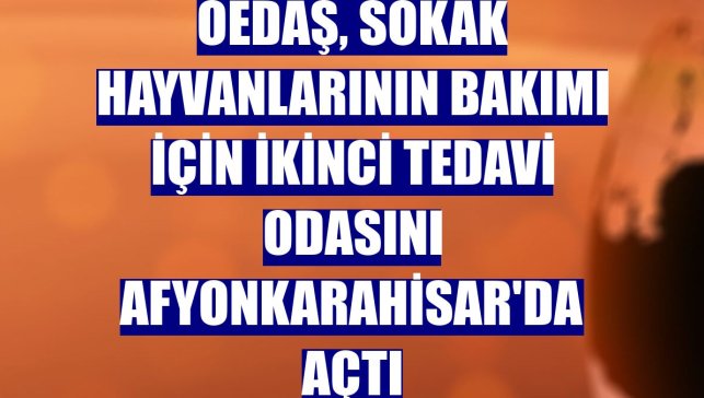 OEDAŞ, sokak hayvanlarının bakımı için ikinci tedavi odasını Afyonkarahisar'da açtı
