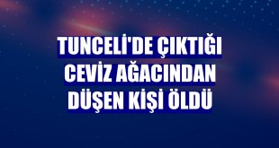 Tunceli'de çıktığı ceviz ağacından düşen kişi öldü