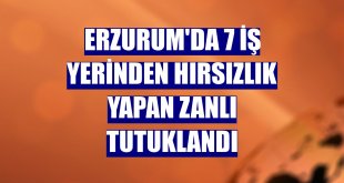 Erzurum'da 7 iş yerinden hırsızlık yapan zanlı tutuklandı