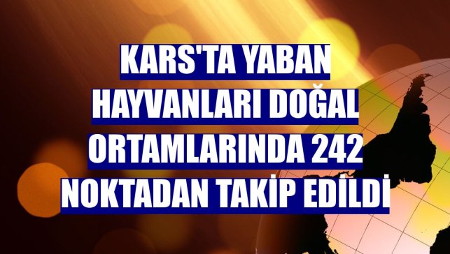 Kars'ta yaban hayvanları doğal ortamlarında 242 noktadan takip edildi