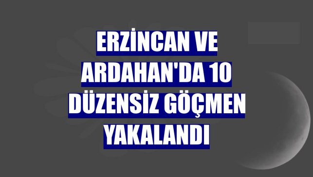 Erzincan ve Ardahan'da 10 düzensiz göçmen yakalandı