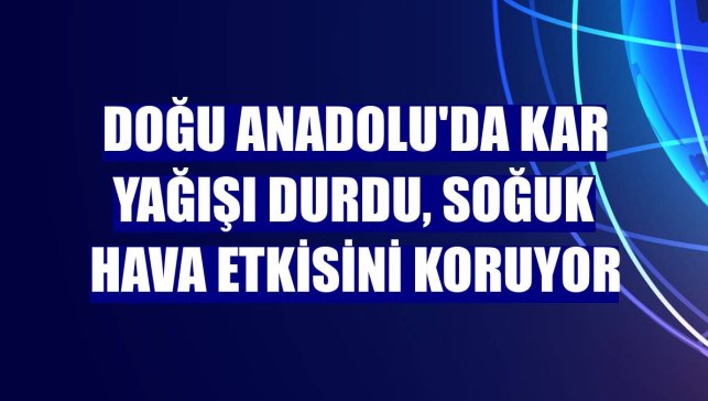 Doğu Anadolu'da kar yağışı durdu, soğuk hava etkisini koruyor