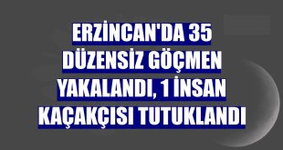 Erzincan'da 35 düzensiz göçmen yakalandı, 1 insan kaçakçısı tutuklandı