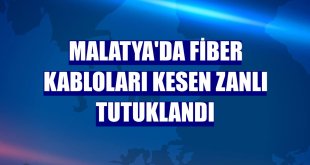 Malatya'da fiber kabloları kesen zanlı tutuklandı