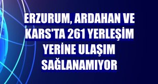 Erzurum, Ardahan ve Kars'ta 261 yerleşim yerine ulaşım sağlanamıyor