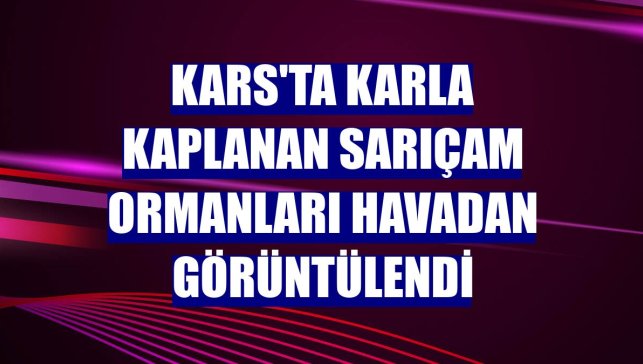 Kars'ta karla kaplanan sarıçam ormanları havadan görüntülendi