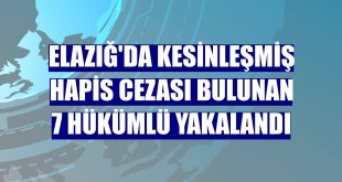 Elazığ'da kesinleşmiş hapis cezası bulunan 7 hükümlü yakalandı