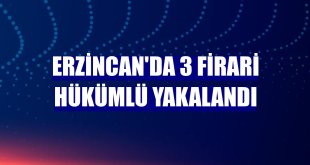 Erzincan'da 3 firari hükümlü yakalandı