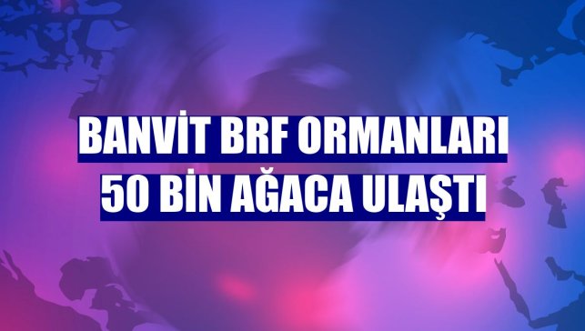 Banvit BRF Ormanları 50 bin ağaca ulaştı