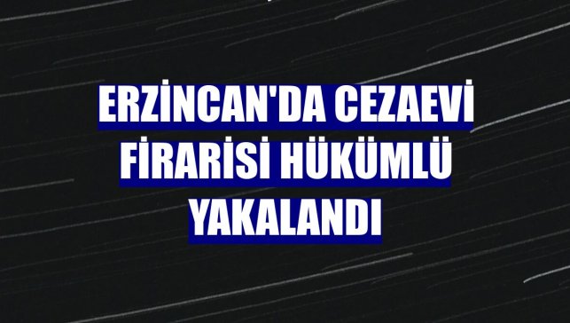 Erzincan'da cezaevi firarisi hükümlü yakalandı