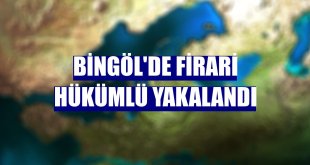 Bingöl'de firari hükümlü yakalandı