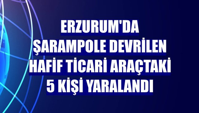 Erzurum'da şarampole devrilen hafif ticari araçtaki 5 kişi yaralandı