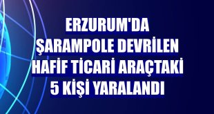 Erzurum'da şarampole devrilen hafif ticari araçtaki 5 kişi yaralandı