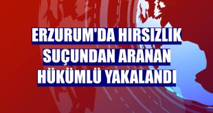 Erzurum'da hırsızlık suçundan aranan hükümlü yakalandı