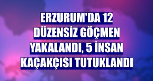 Erzurum'da 12 düzensiz göçmen yakalandı, 5 insan kaçakçısı tutuklandı