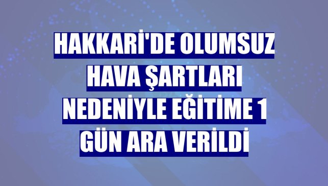 Hakkari'de olumsuz hava şartları nedeniyle eğitime 1 gün ara verildi