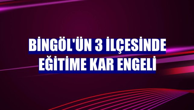 Bingöl'ün 3 ilçesinde eğitime kar engeli