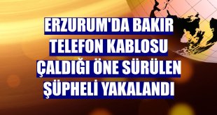 Erzurum'da bakır telefon kablosu çaldığı öne sürülen şüpheli yakalandı