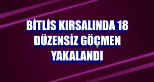 Bitlis kırsalında 18 düzensiz göçmen yakalandı