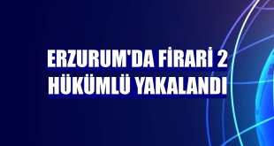 Erzurum'da firari 2 hükümlü yakalandı