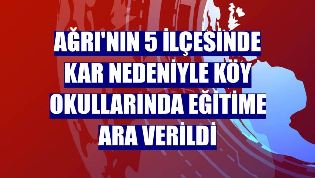 Ağrı'nın 5 ilçesinde kar nedeniyle köy okullarında eğitime ara verildi