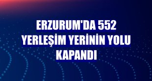 Erzurum'da 552 yerleşim yerinin yolu kapandı