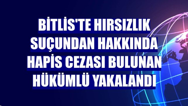 Bitlis'te hırsızlık suçundan hakkında hapis cezası bulunan hükümlü yakalandı