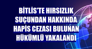 Bitlis'te hırsızlık suçundan hakkında hapis cezası bulunan hükümlü yakalandı