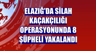 Elazığ'da silah kaçakçılığı operasyonunda 8 şüpheli yakalandı