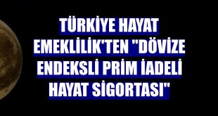 Türkiye Hayat Emeklilik'ten 'Dövize Endeksli Prim İadeli Hayat Sigortası'