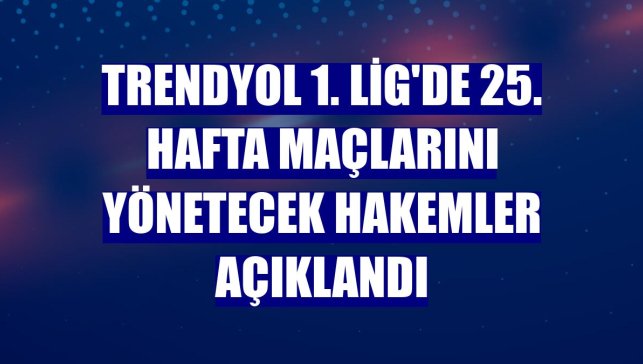 Trendyol 1. Lig'de 25. hafta maçlarını yönetecek hakemler açıklandı
