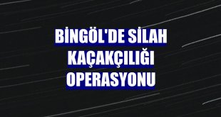 Bingöl'de silah kaçakçılığı operasyonu