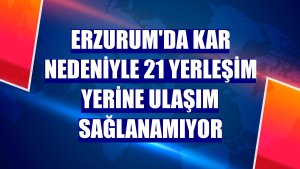 Erzurum'da kar nedeniyle 21 yerleşim yerine ulaşım sağlanamıyor