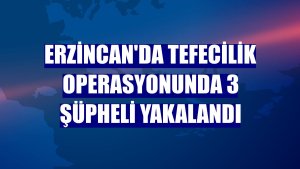 Erzincan'da tefecilik operasyonunda 3 şüpheli yakalandı