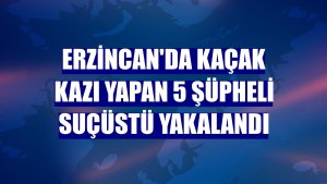 Erzincan'da kaçak kazı yapan 5 şüpheli suçüstü yakalandı