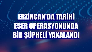 Erzincan'da tarihi eser operasyonunda bir şüpheli yakalandı