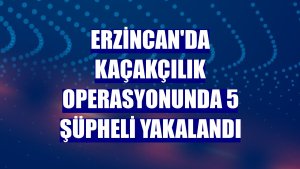 Erzincan'da kaçakçılık operasyonunda 5 şüpheli yakalandı