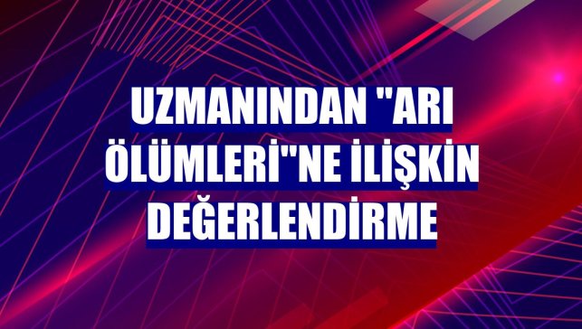 Uzmanından "arı ölümleri"ne ilişkin değerlendirme
