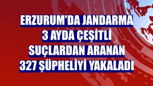 Erzurum'da jandarma 3 ayda çeşitli suçlardan aranan 327 şüpheliyi yakaladı